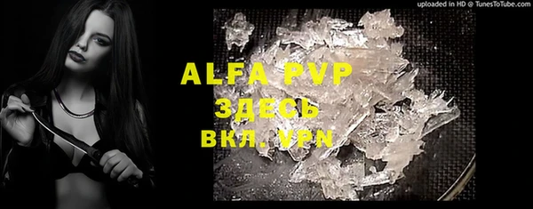 apvp Карпинск