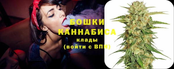 PSILOCYBIN Карталы