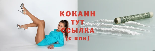 PSILOCYBIN Карталы