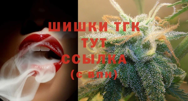 apvp Карпинск