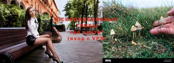 apvp Карпинск