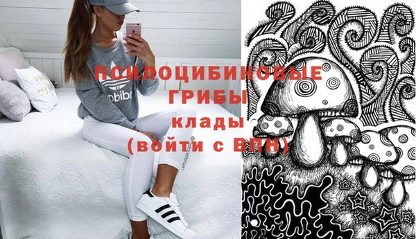 apvp Карпинск