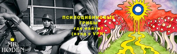 PSILOCYBIN Карталы