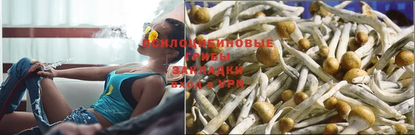 PSILOCYBIN Карталы