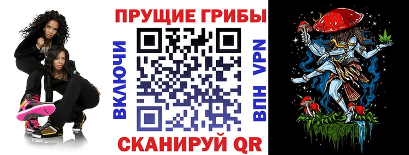 Псилоцибиновые грибы Cubensis  Чулым 